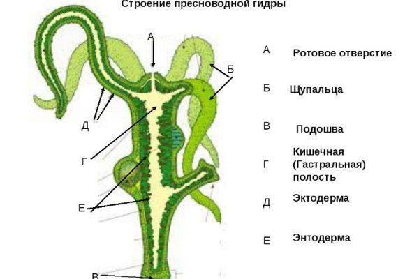 Ссылка кракен даркнет маркет